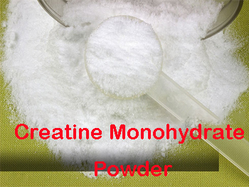 What Is Creatine Monohydrate Powder?